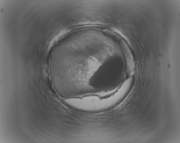 X0000071901357200607281753