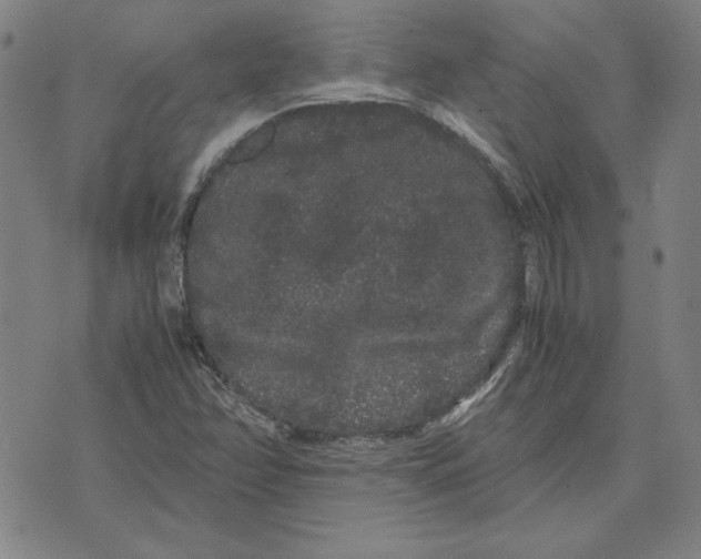 X0000071901358200607281753