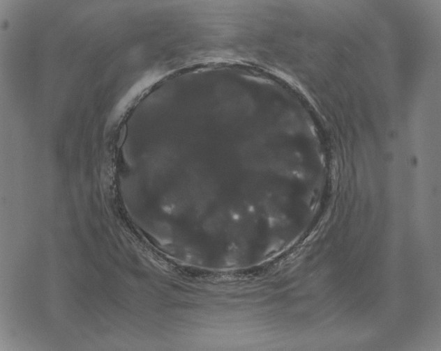 X0000071901359200607281753