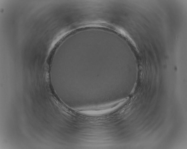 X0000071901360200607281753