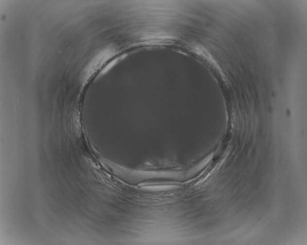 X0000071901362200607281753