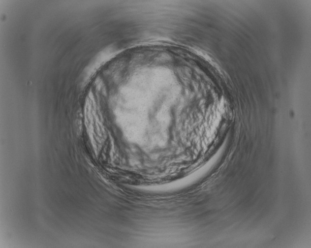 X0000071901363200607281753