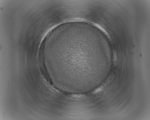 X0000071901364200607281753