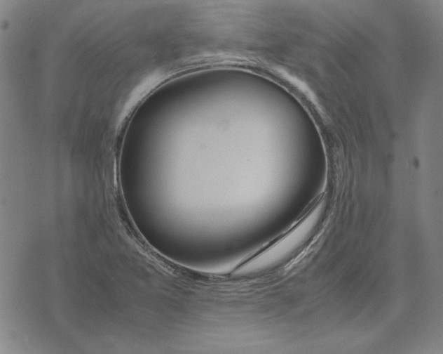 X0000071901365200607281753