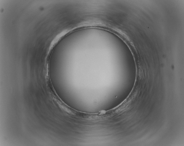 X0000071901366200607281753