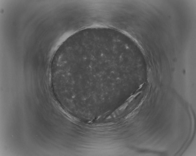 X0000071901367200607281753