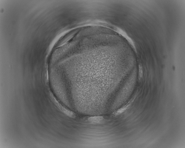 X0000071901368200607281753