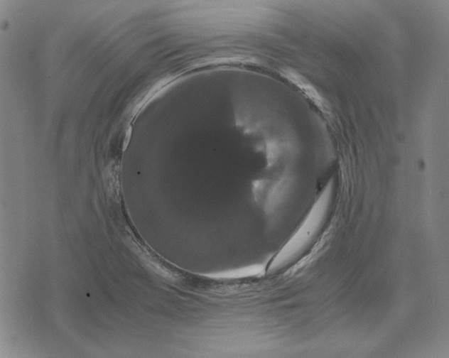 X0000071901369200607281753