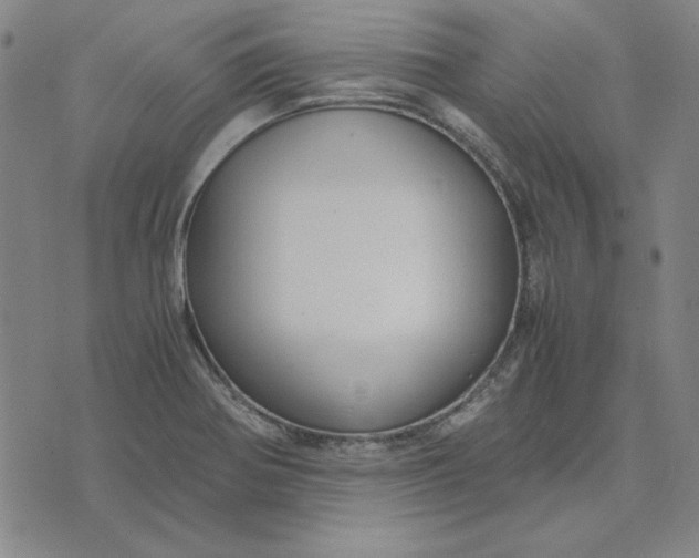 X0000071901370200607281753