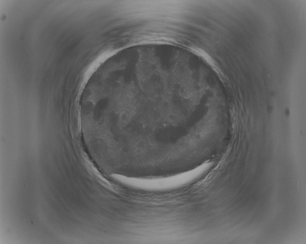 X0000071901371200607281753