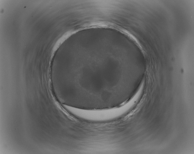 X0000071901373200607281753