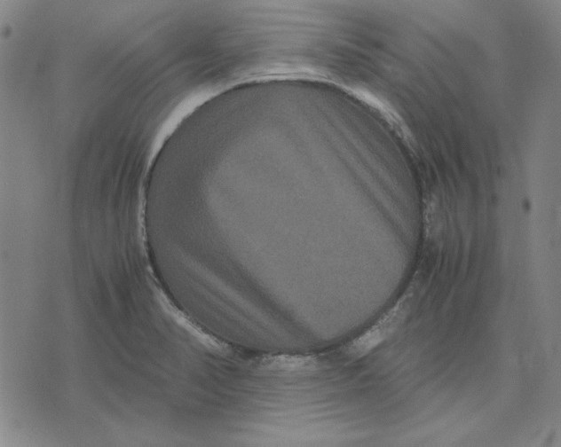 X0000071901374200607281753