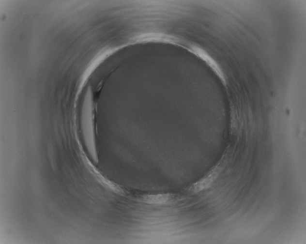 X0000071901376200607281753