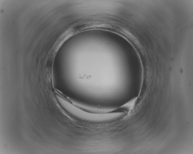 X0000071901377200607281753