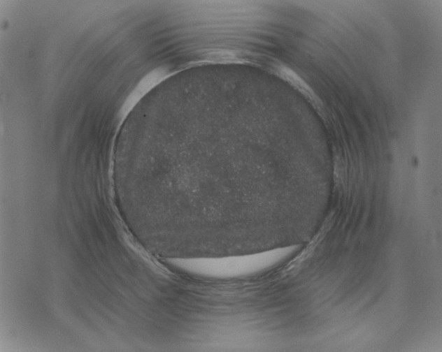 X0000071901378200607281752