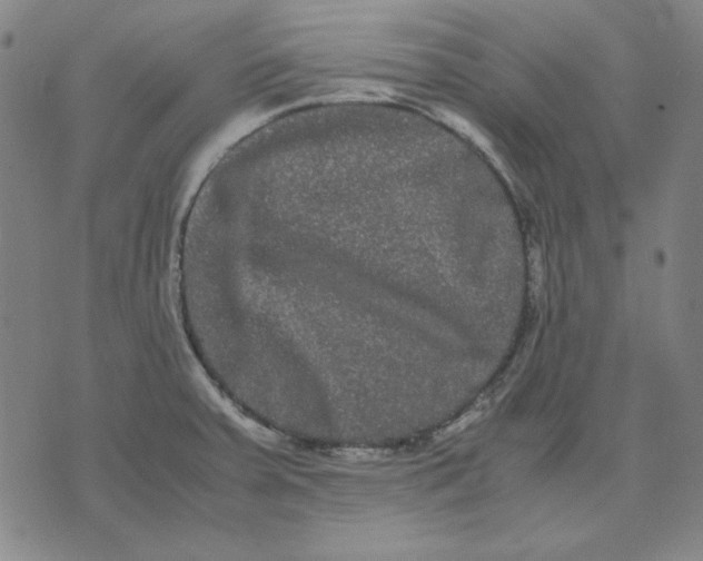 X0000071901379200607281752