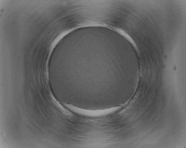 X0000071901380200607281752