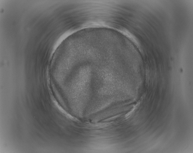 X0000071901382200607281752