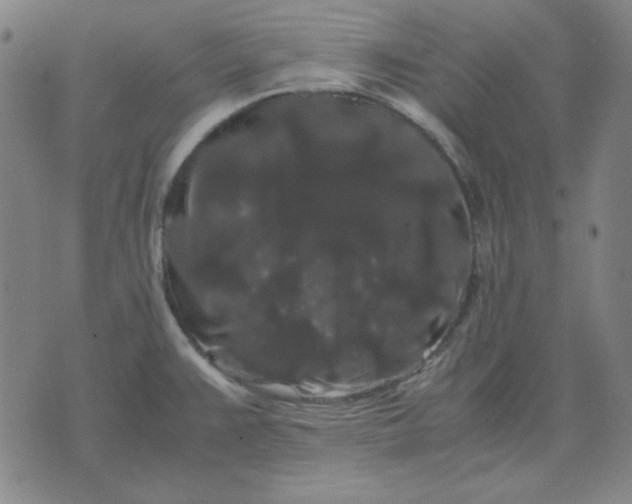 X0000071901383200607281752