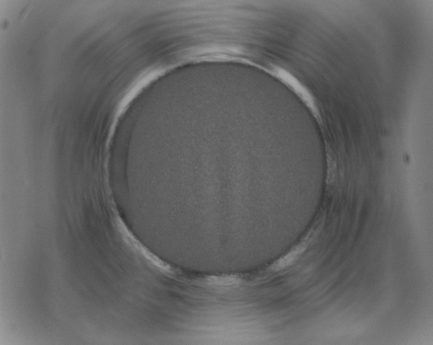 X0000071901384200607281752