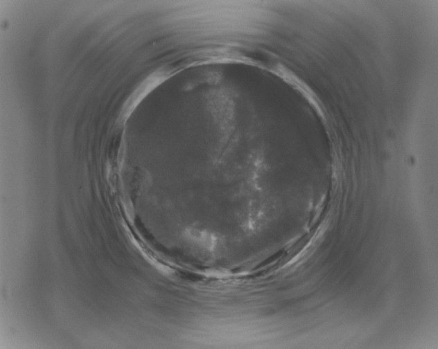 X0000071901385200607281752