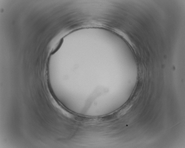 X0000071901387200607281752