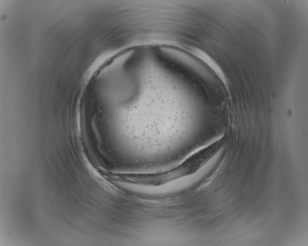 X0000071901388200607281752