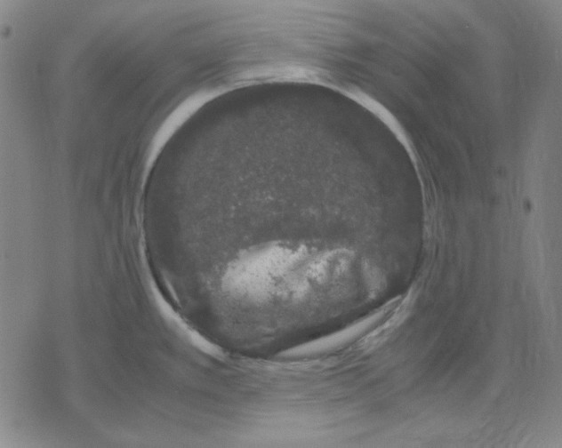 X0000071901389200607281752