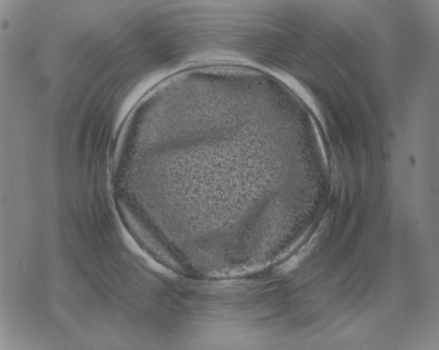 X0000071901390200607281752