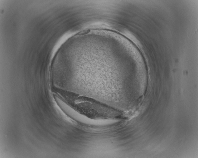 X0000071901392200607281752