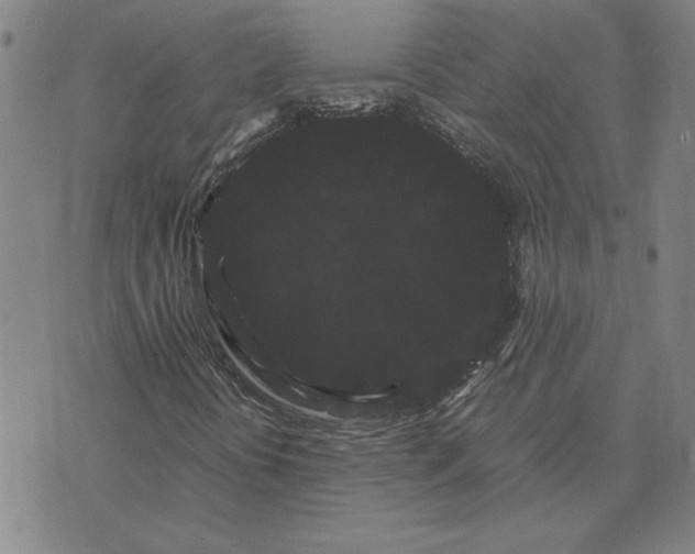 X0000071901394200607281752