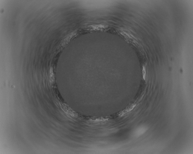 X0000071901395200607281752