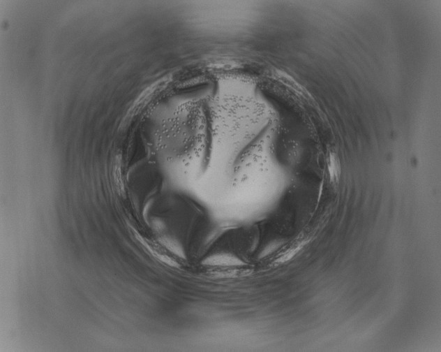 X0000071901396200607281752