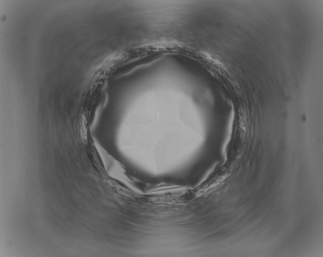 X0000071901398200607281752