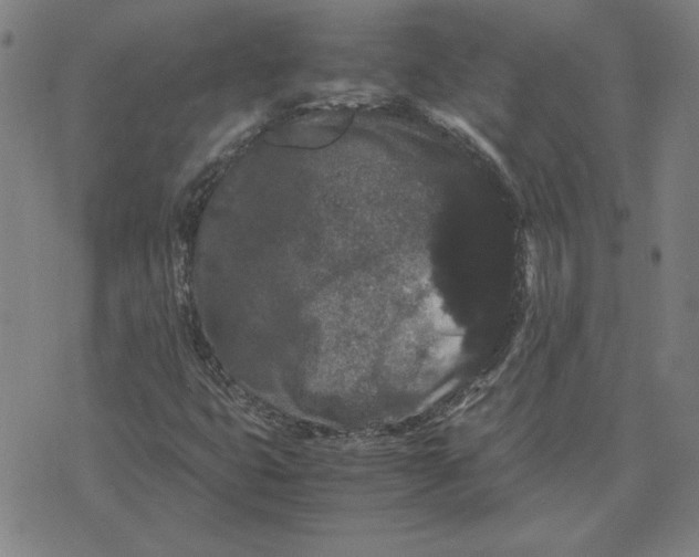 X0000071901399200607281752