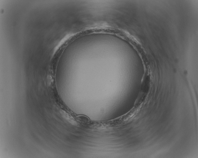 X0000071901400200607281752