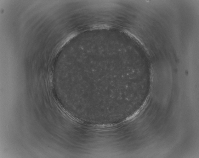 X0000071901401200607281752