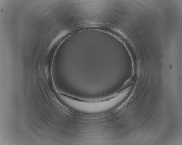 X0000071901402200607281752