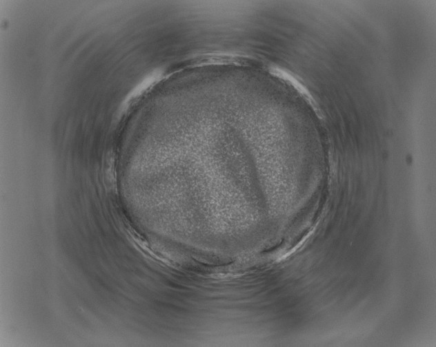 X0000071901403200607281752