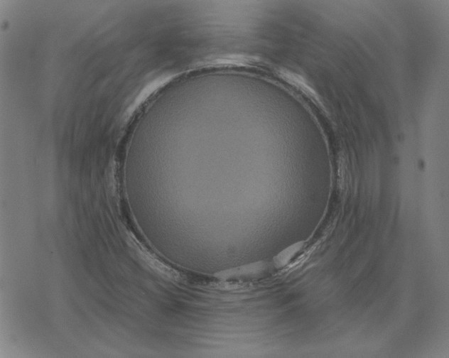 X0000071901404200607281752