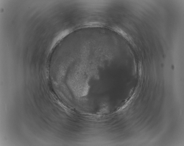 X0000071901405200607281752