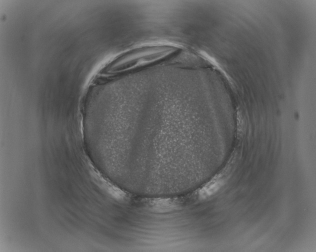 X0000071901408200607281752