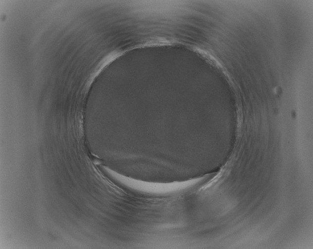 X0000071901409200607281752