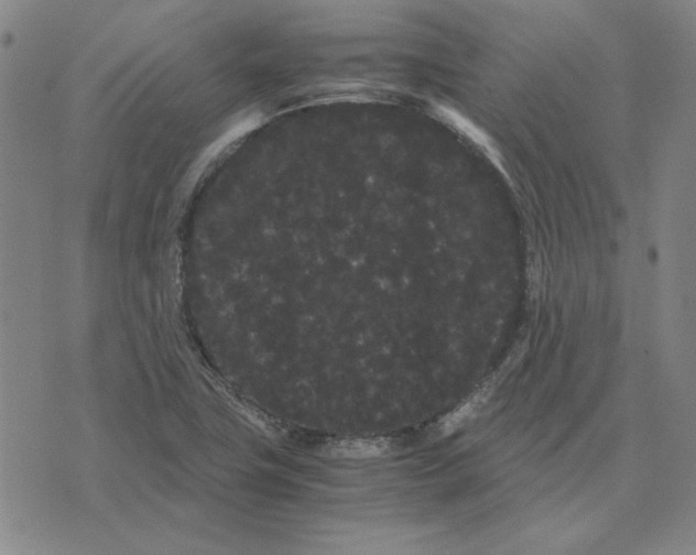 X0000071901411200607281752