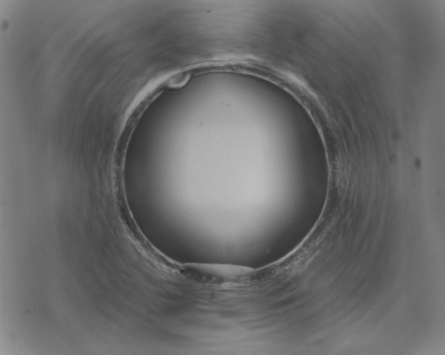 X0000071901412200607281752