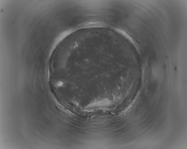 X0000071901413200607281752