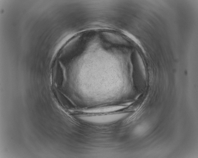 X0000071901415200607281752