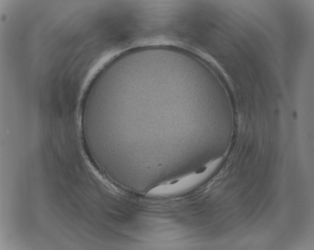 X0000071901416200607281752