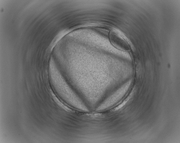 X0000071901417200607281752