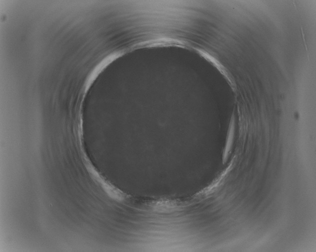 X0000071901418200607281752